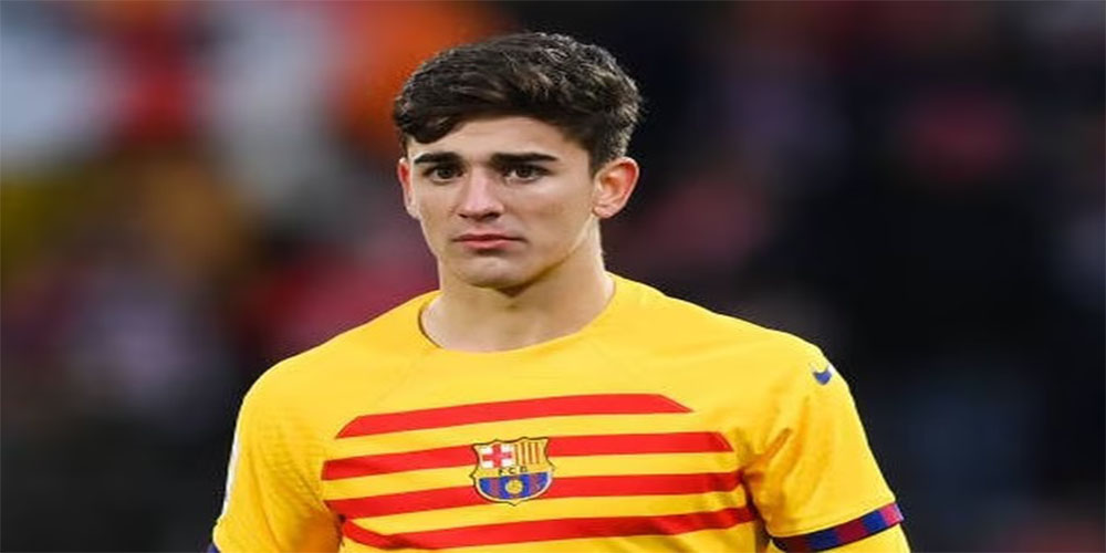 تحصیلات پابلو گاوی