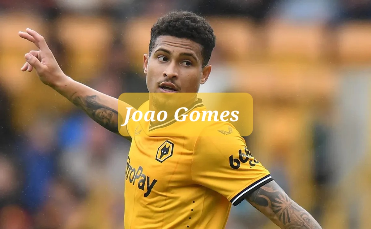 ژوائو گومز تیم ملی