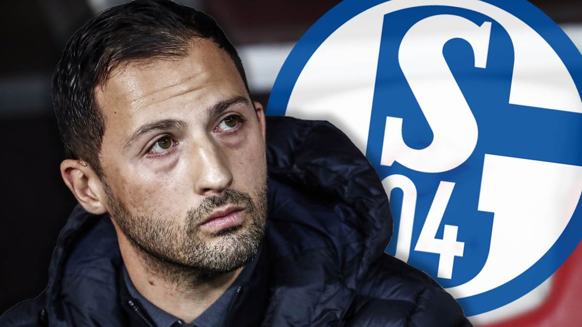 دومنیکو تدسکو جرمی دوکو