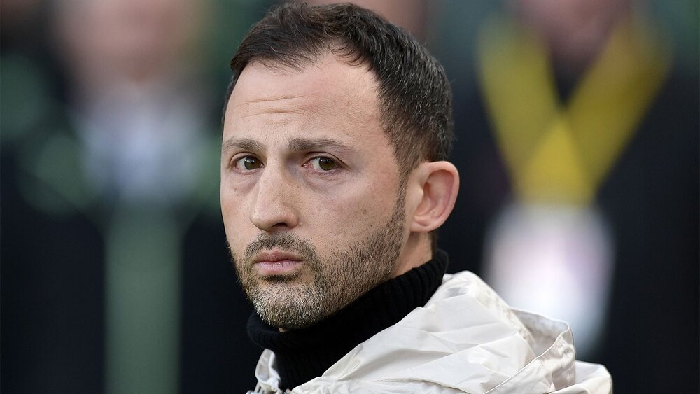 زندگینامه دومنیکو تدسکو