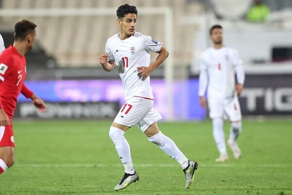 زندگی حرفه ای محمد جواد حسین نژاد