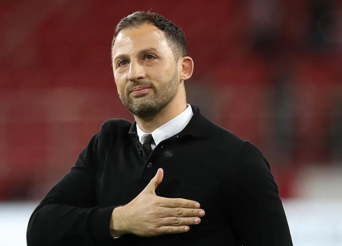 شخصیت دومنیکو تدسکو