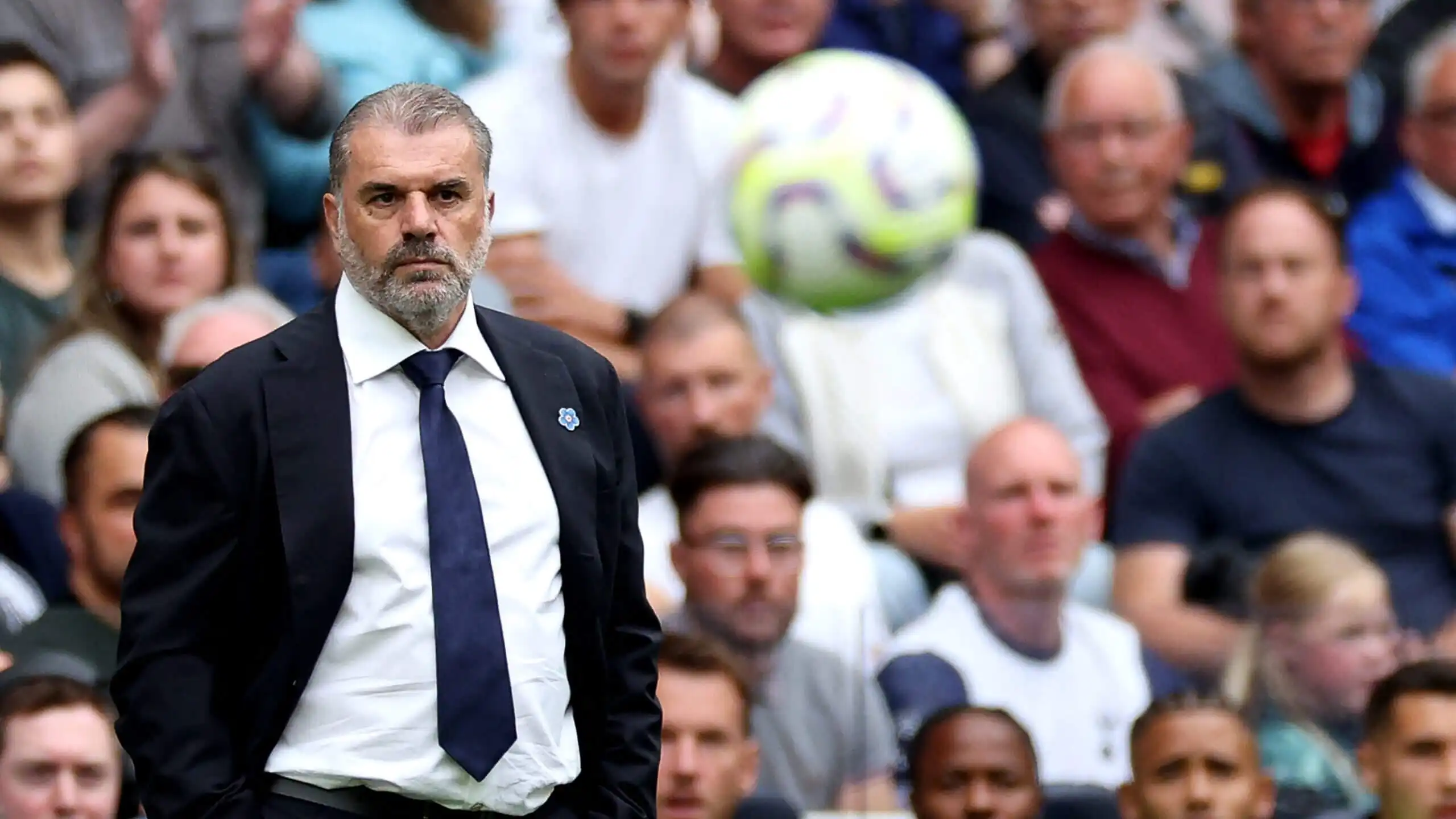 عکس پروفایل Ange Postecoglou