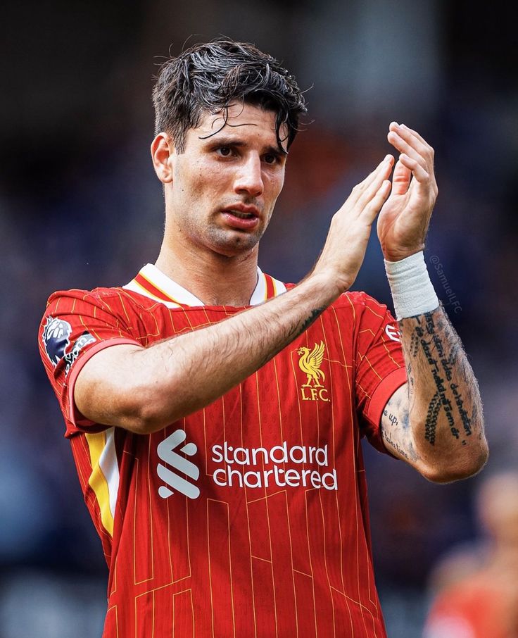 زندگی حرفه ای دومینیک سوبوسلای زندگی حرفه ای دومینیک سوبوسلای