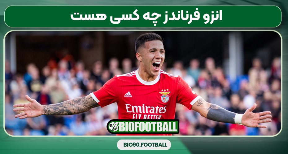 انزو فرناندز چه کسی هست