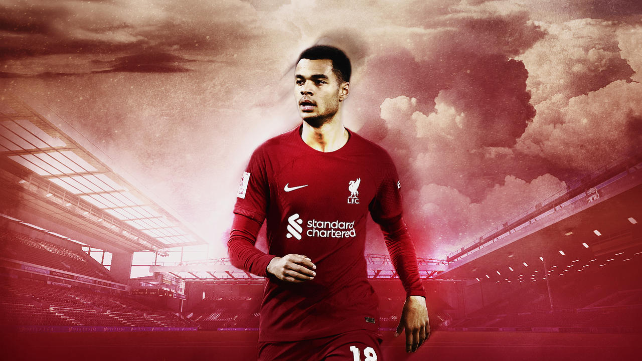 wallpaper hd Cody Gakpo