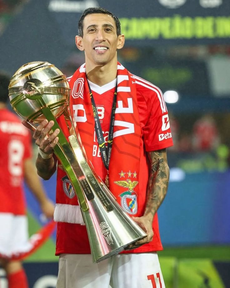 افتخارات و جام های آنخل دی ماریا افتخارات و جام های آنخل دی ماریا