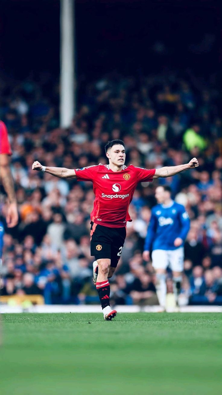 والپیپر مانوئل اوگارته