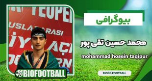 بیوگرافی محمد حسین تقی پور