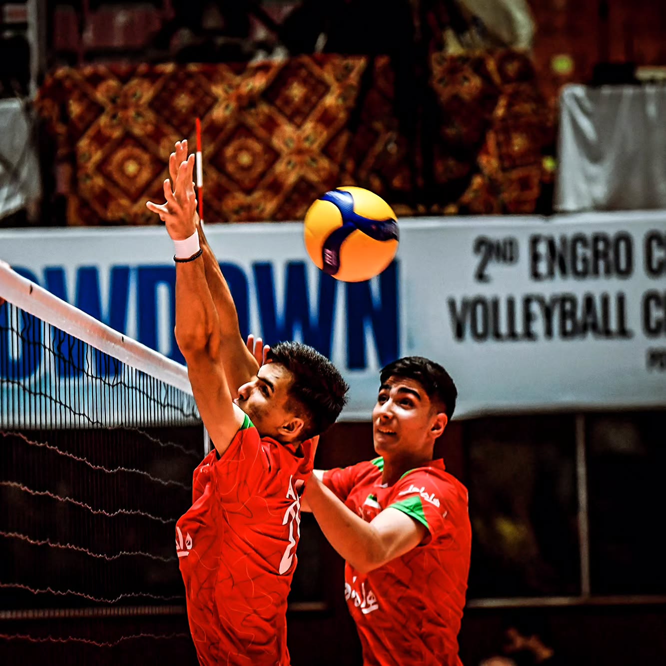 پویا آریاخواه چه کسی هست