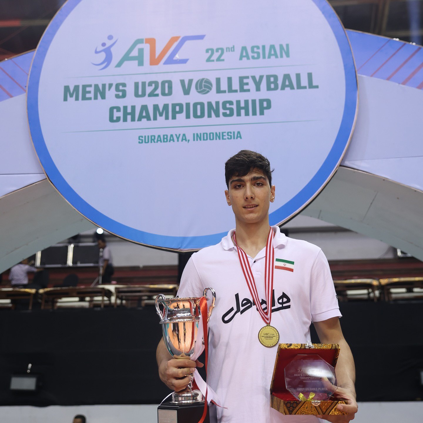 افتخارات و جام‌های پویا آریاخواه 