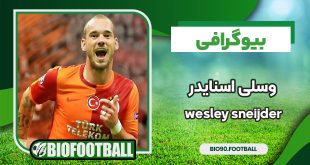 wesley-sneijder