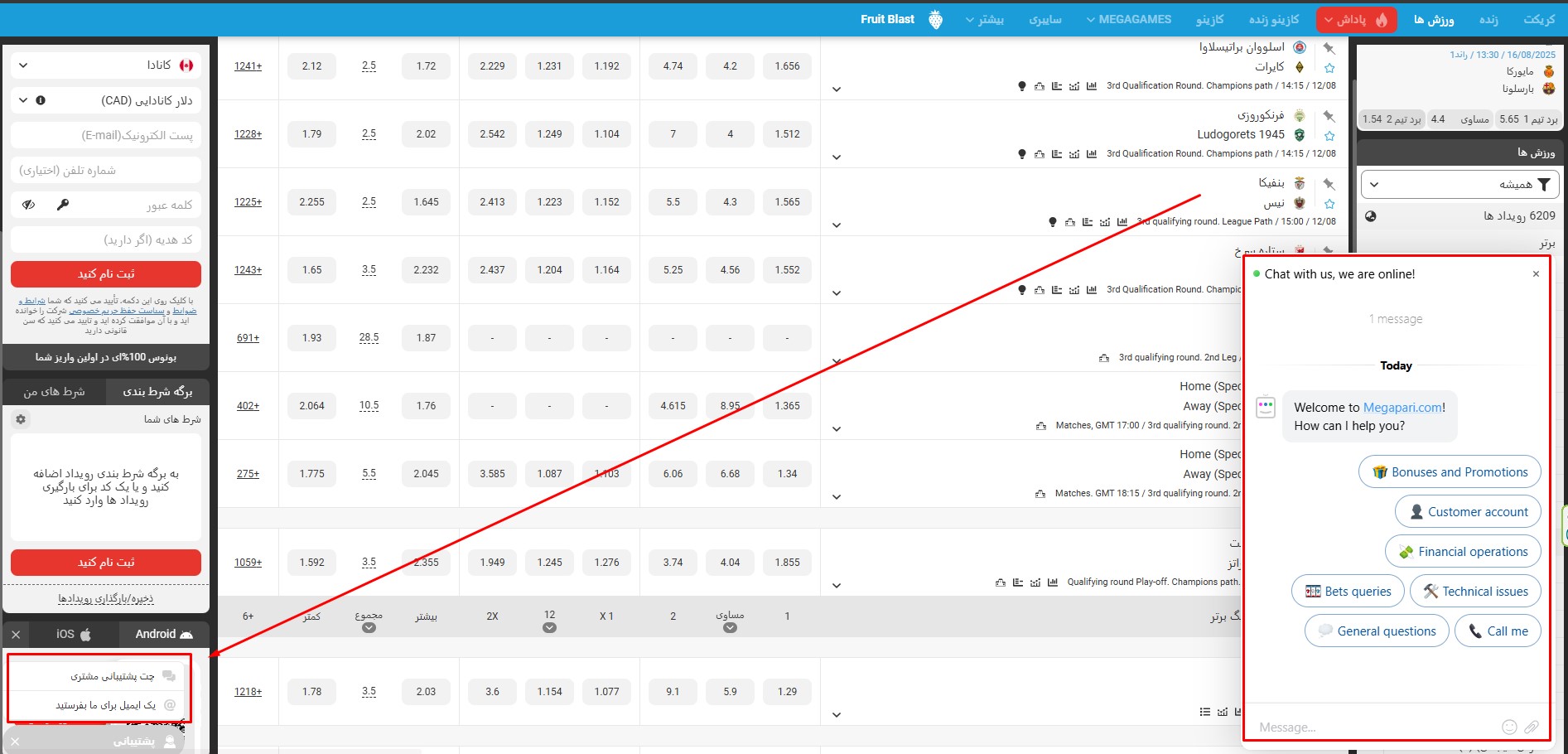 پشتیبانی ۲۴ ساعته و روش‌های ارتباط با MegaPari