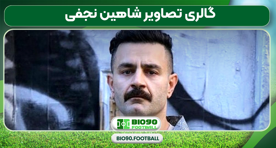 گالری تصاویر شاهین نجفی گالری تصاویر شاهین نجفی