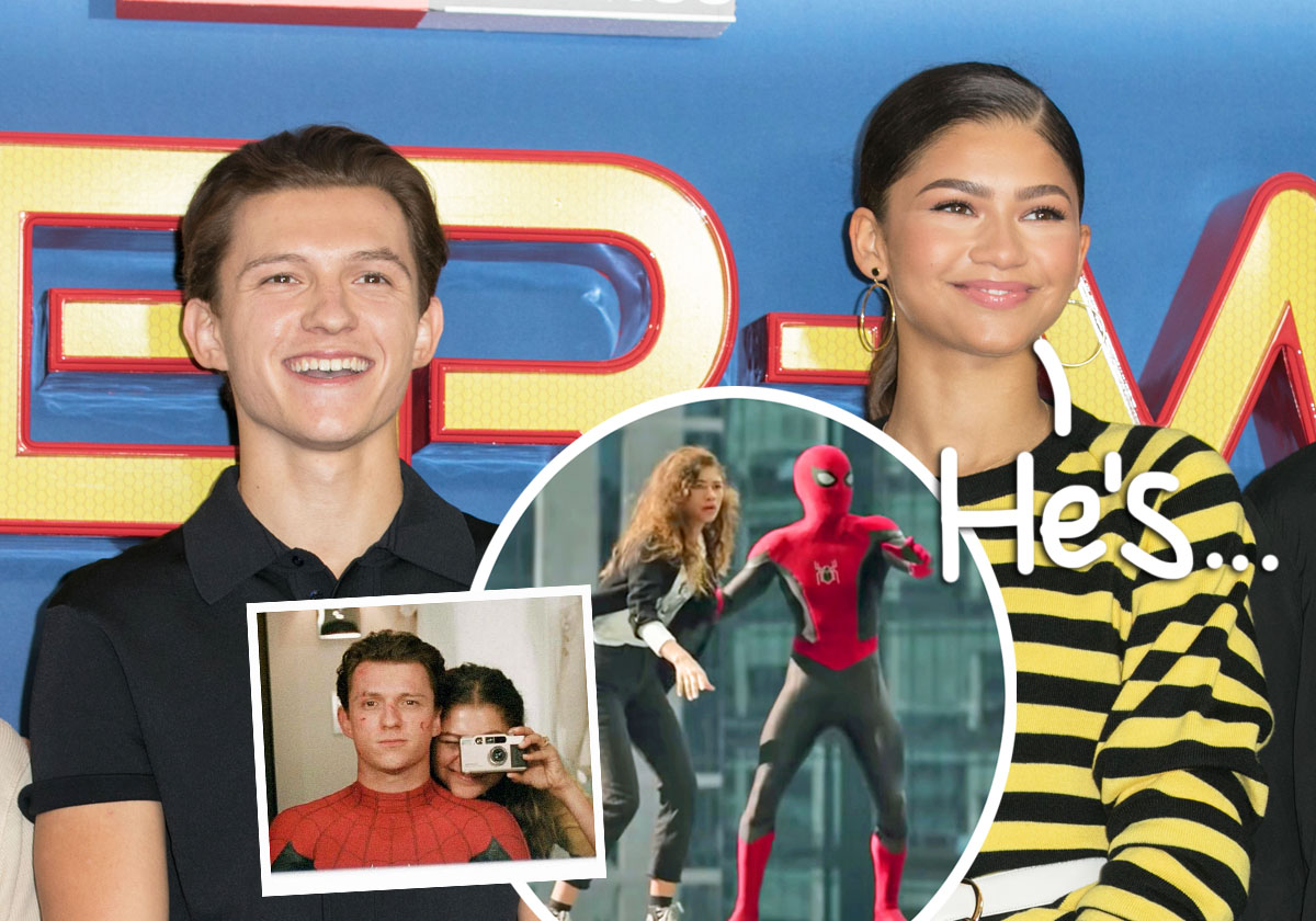 مرد عنکبوتی و زندیا مرد عنکبوتی و زندیا