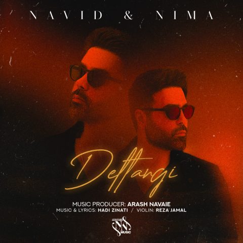 آهنگ نوید و نیما دلتنگی آهنگ نوید و نیما دلتنگی